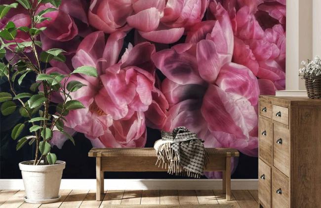 3D | Elegant Pink Peony Floral Non-Woven Wall Mural 1ft2 Pink 3D 3D