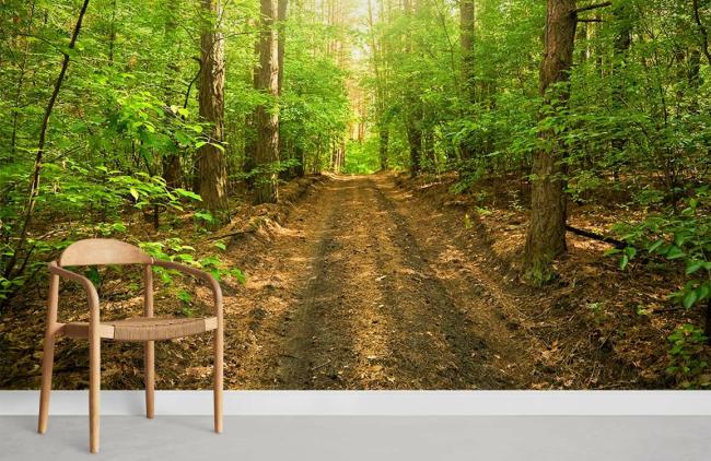 3D | Serene Forest Trail Nature Mural Non-Woven Wallpaper 1ft2 Green 3D 3D