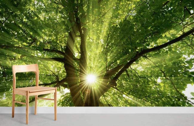 3D | Sunlight Forest Canopy Green Mural Non-Woven Wallpaper 1ft2 Green 3D 3D