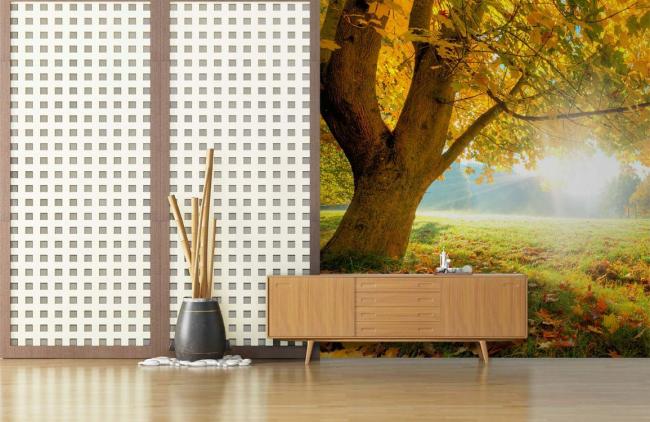 3D | Sunlit Autumn Forest Mural Non-Woven Wallpaper 1ft2 Yellow 3D 3D