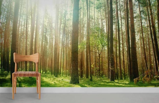 3D | Sunlit Forest Landscape Mural Non-Woven Wallpaper 1ft2 Green 3D 3D