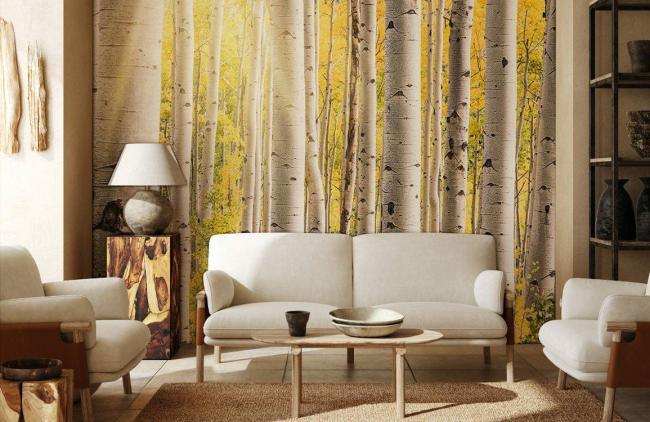 3D | Sunny Birch Forest Nature Mural Non-Woven Wallpaper 1ft2 Yellow 3D 3D