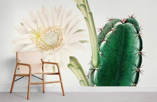 Famous Painting | Botanical Cactus Flower Illustration Mural Non-Woven Wallpaper 1ft2 Green and Beige Design & Art Famous Painting