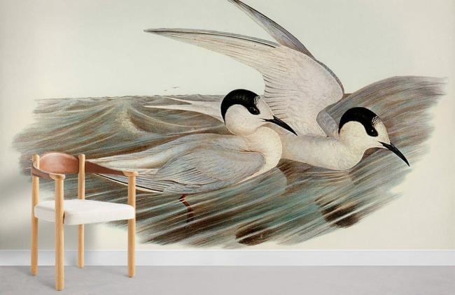 Famous Painting | Elegant Seabirds Watercolor Mural Non-Woven Wallpaper 1ft2 Beige Design & Art Beige