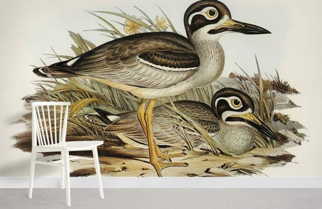 Famous Painting | Vintage Bird Illustration Art Mural Non-Woven Wallpaper 1ft2 Beige Design & Art Beige