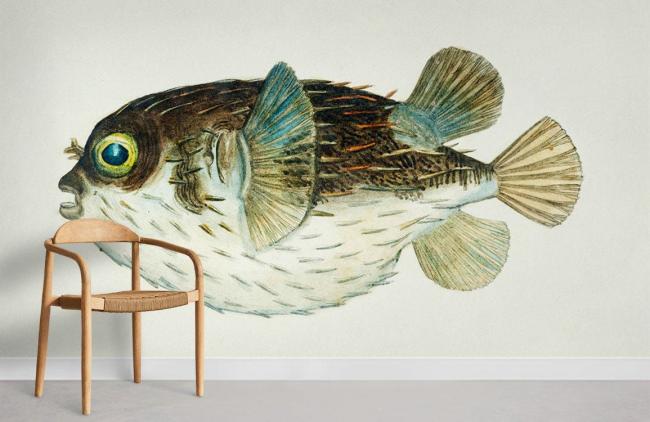 Famous Painting | Vintage Nautical Fish Illustration Non-Woven Wallpaper Mural 1ft2 Beige Design & Art Beige