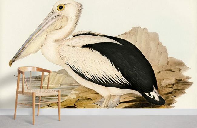 Famous Painting | Vintage Pelican Nature Illustration Mural Non-Woven Wallpaper 1ft2 Beige Design & Art Beige