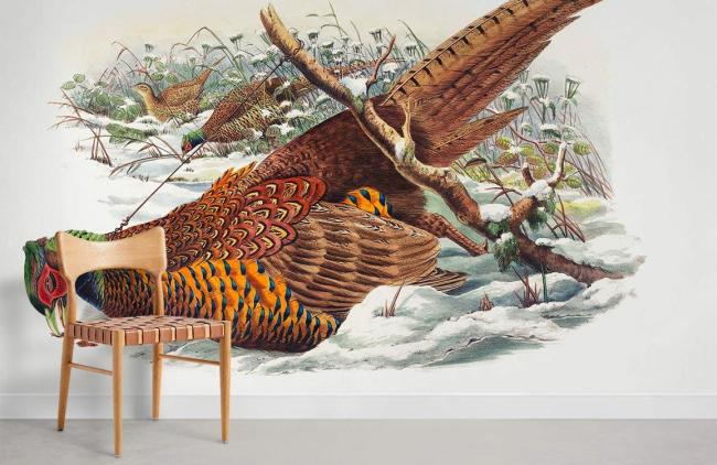 Famous Painting | Vintage Pheasant Nature Illustration Mural Non-Woven Wallpaper 1ft2 Beige Design & Art Beige