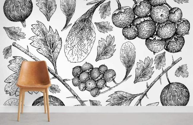 Food & Drink | Botanical Sketch Monochrome Mural Non-Woven Wallpaper 1ft2 Black and White Food & Drink Black & White