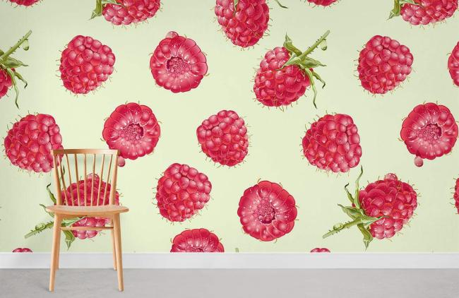 Food & Drink | Pink Raspberry Botanical Mural Non-Woven Wallpaper 1Roll Pink Food & Drink Food & Drink