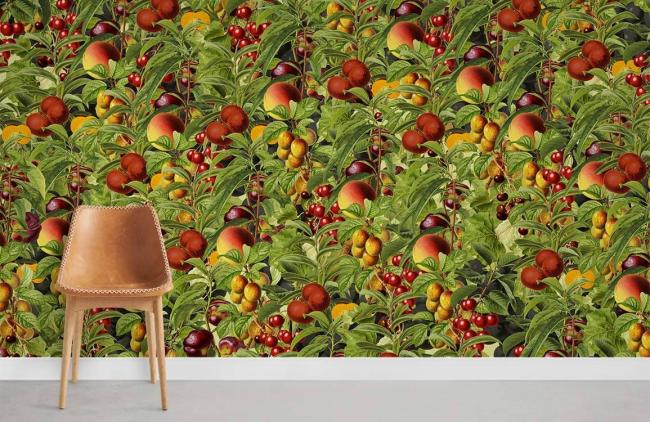 Food & Drink | Vintage Fruit Garden Botanical Mural Non-Woven Wallpaper 1ft2 Green, Red, Orange Food & Drink Food & Drink