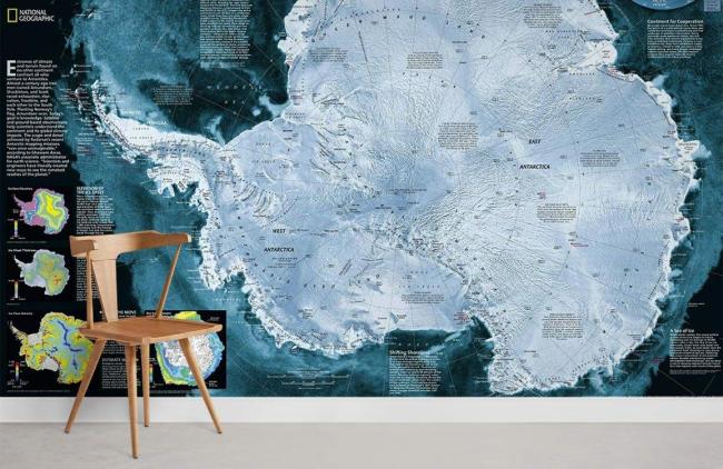 Map | Antarctic Expedition Map Non-Woven Wall Mural 1ft2 blue General Blue