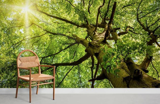 3D | Emerald Canopy Tree Forest Mural Non-Woven Wallpaper 1ft2 Emerald Green 3D 3D